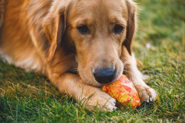 Ruffwear Gnawt-a-Cone Toy Salamander Orange Ruffwear Gnawt-a-Cone Toy Salamander Orange